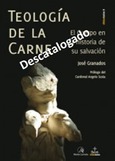 Teología de la carne