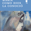 Reseña en Alfa y Omega "María: propuesta audaz para hoy" del libro "María como Dios la conoció" de Martin Steffens